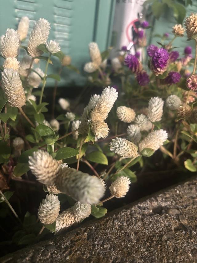 おはようございます