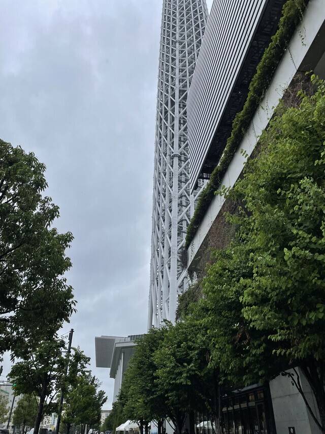 かのこ（美人妻御奉仕倶楽部Hip's 松戸店）