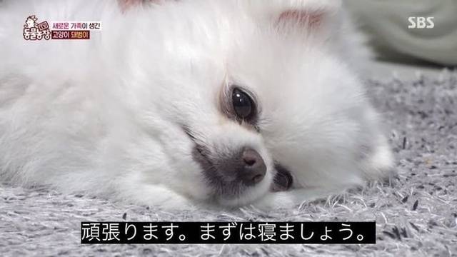 急遽‎🤍
