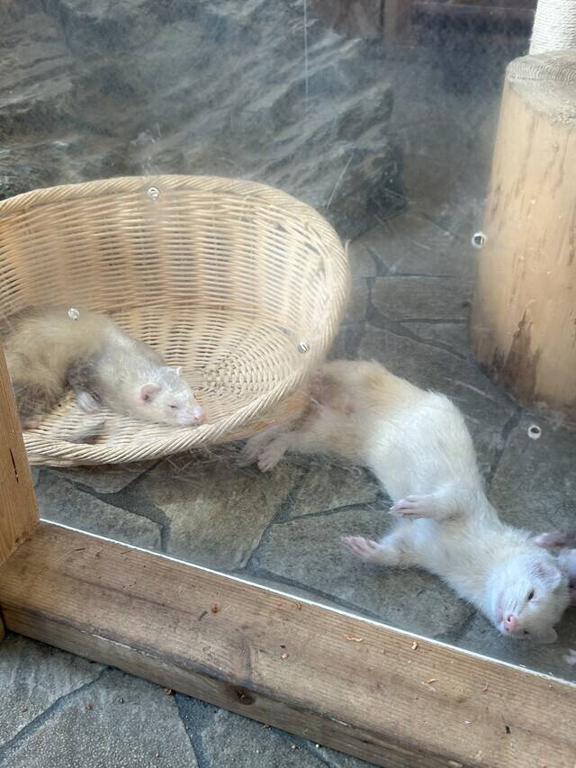 終了時間変更してます