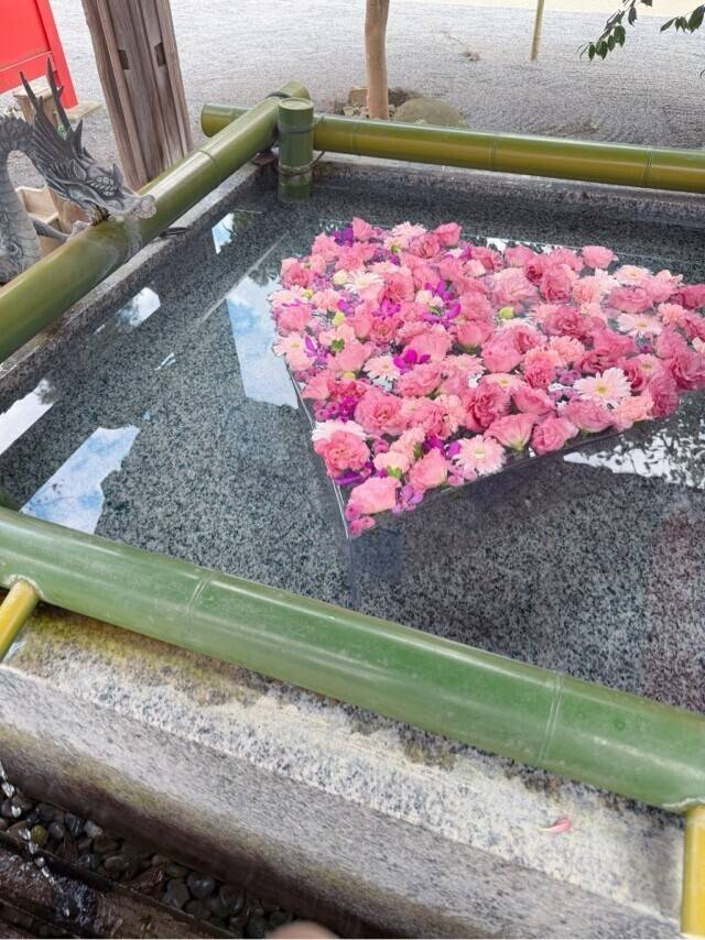 お散歩🩷