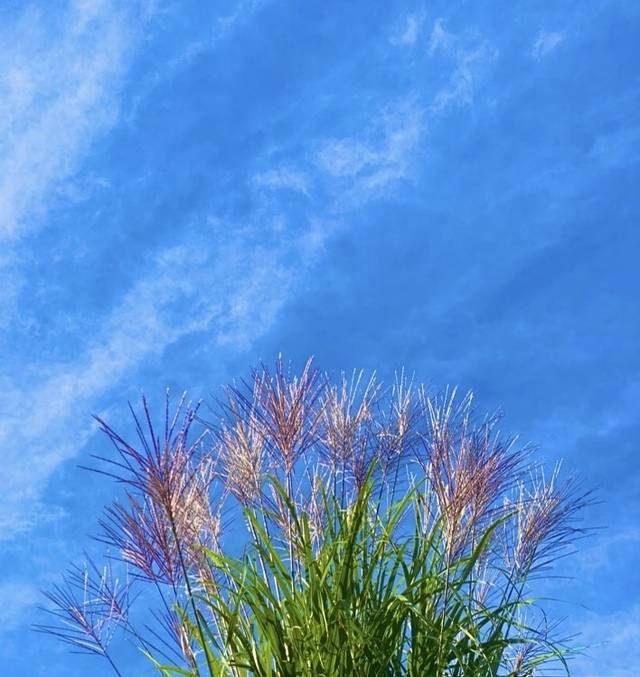 明日のご予約ありがとうございます♡