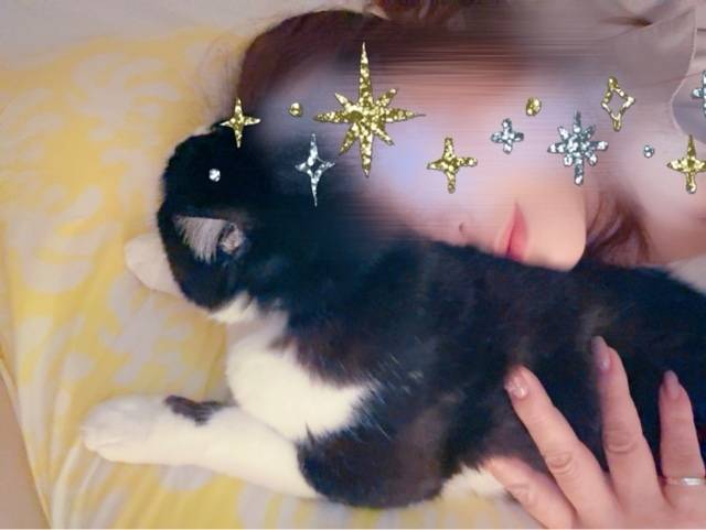 いちゃこらしましょ??