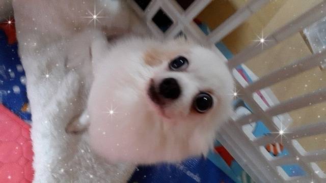 お礼　ハッピー　K様