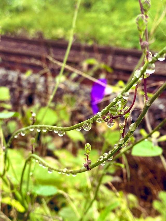 おはようございます♡