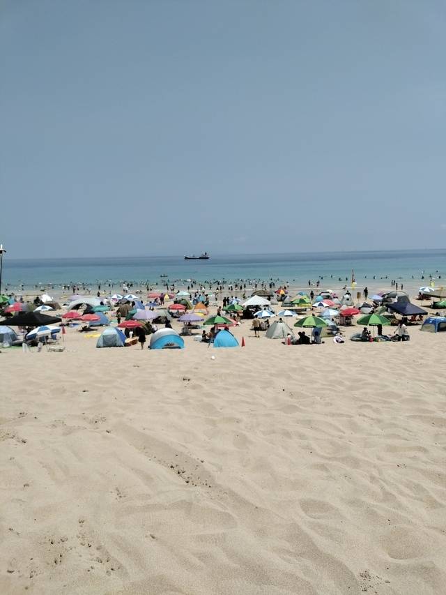 なんだか꒰ᐡ´т ‧̫ т ̀ ᐡ꒱🐾♡