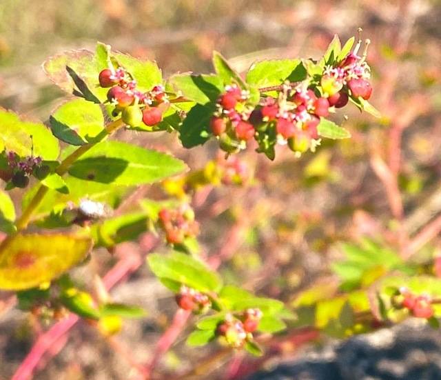 おはようございます♡