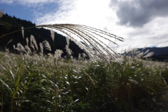 おはようございます