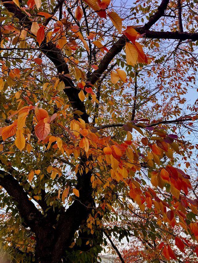 冬の気配🍂⛄️