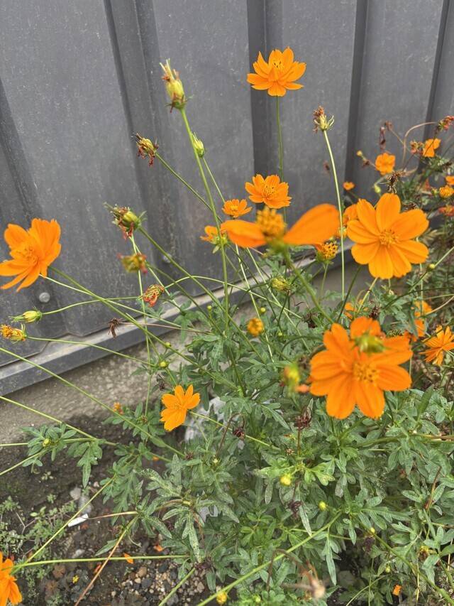 おはようございます☀