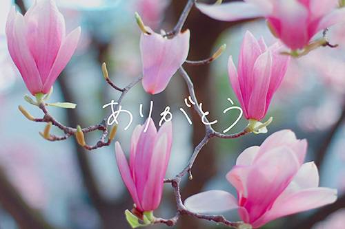 本日も素敵なお時間をありがとうございました💕