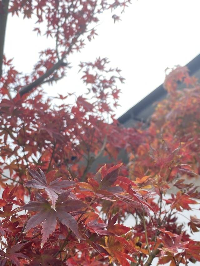 ご予約ありがとうございます♡