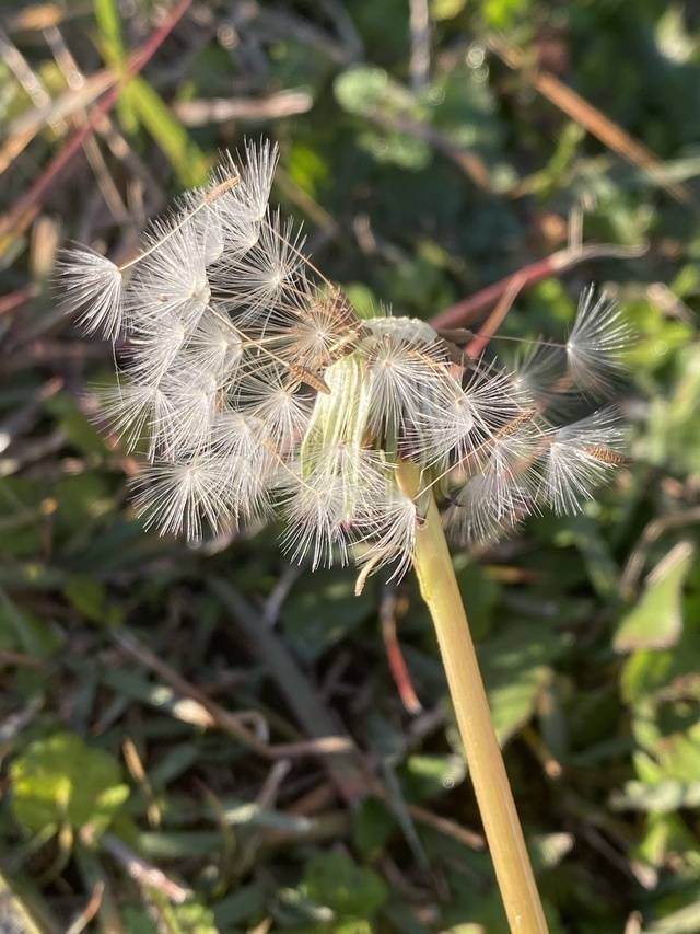 おはようございます♡