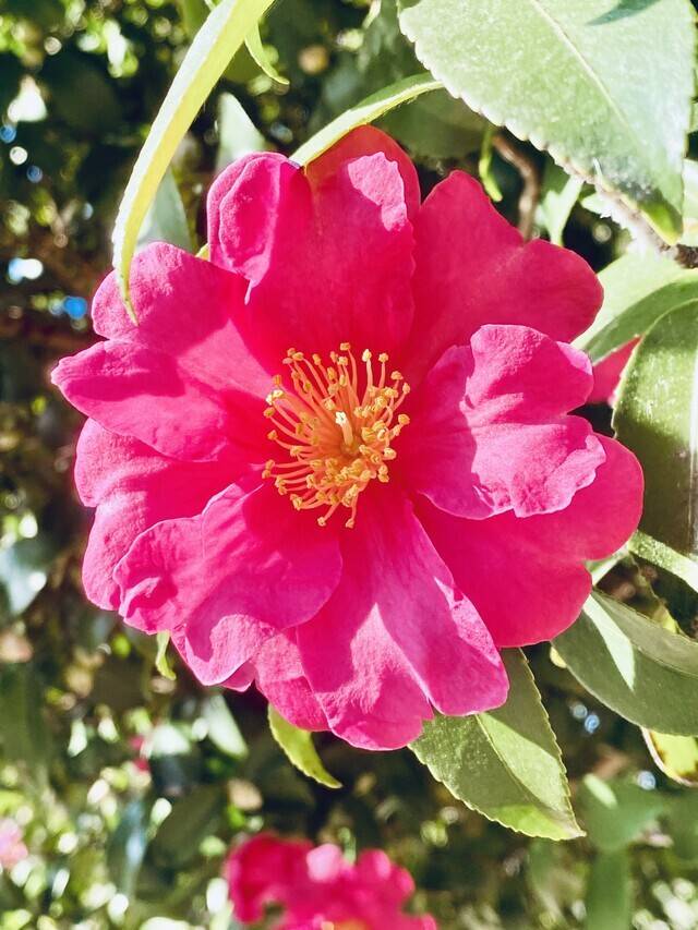 おはようございます♡