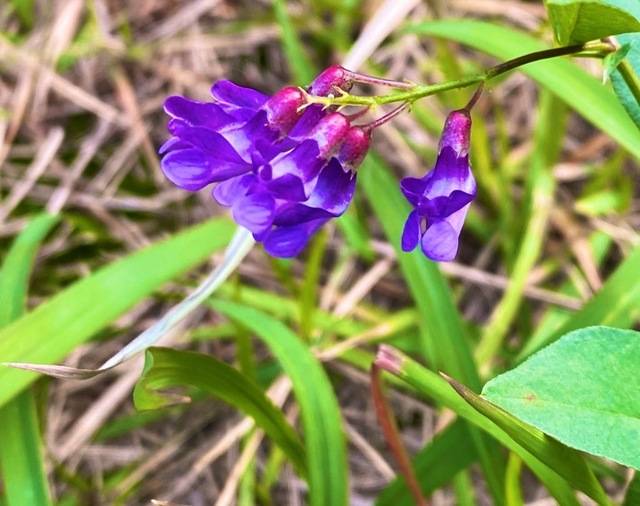 ご予約ありがとうございます♡