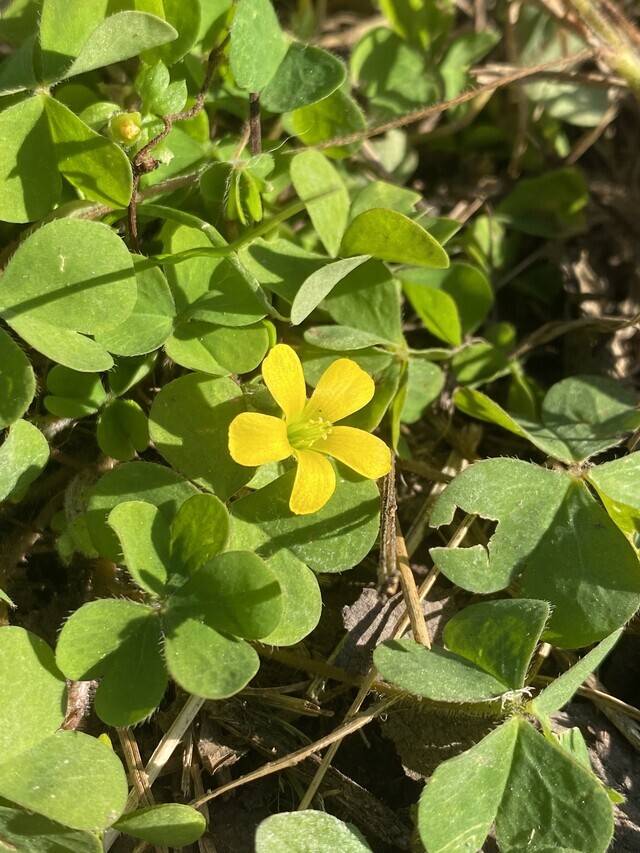 明日のご予約ありがとうございます♡