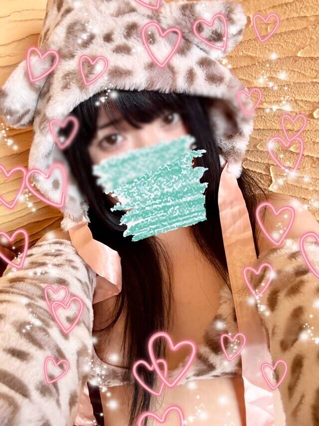 猫ちゃんだよ〜🐈