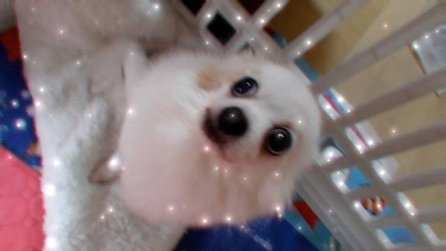 昨日のお礼　バリバリK様