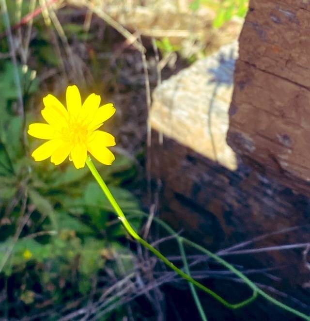 明日のご予約ありがとうございます♡