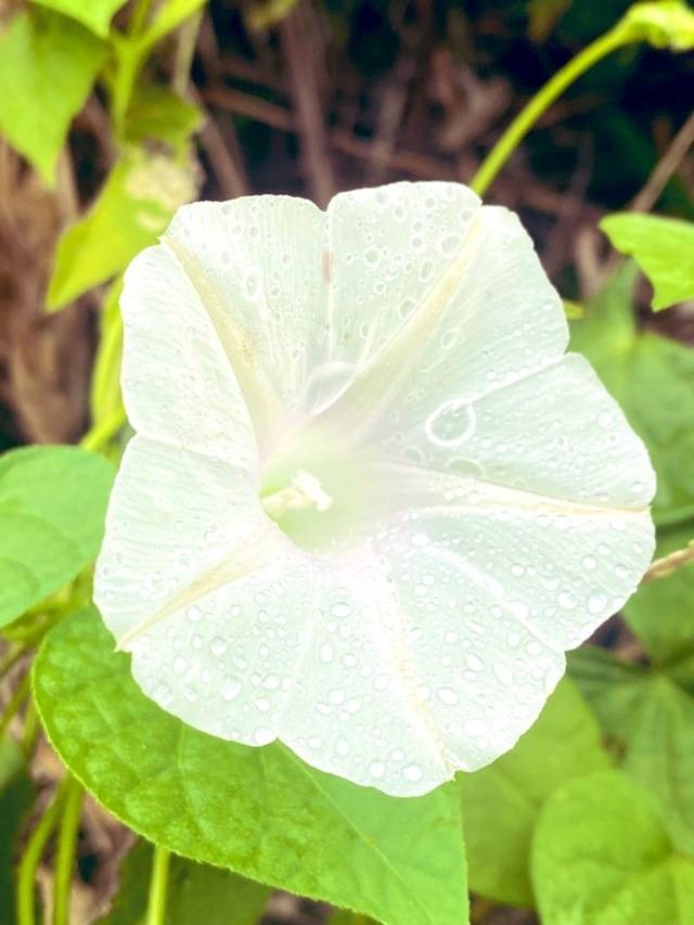 おはようございます♡