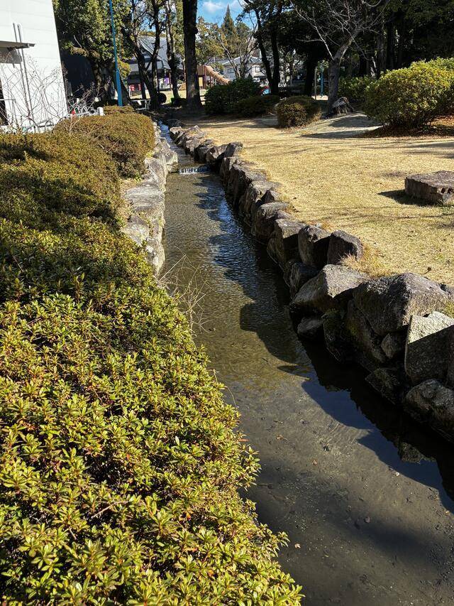 お礼(՞_  ̫ _՞)"