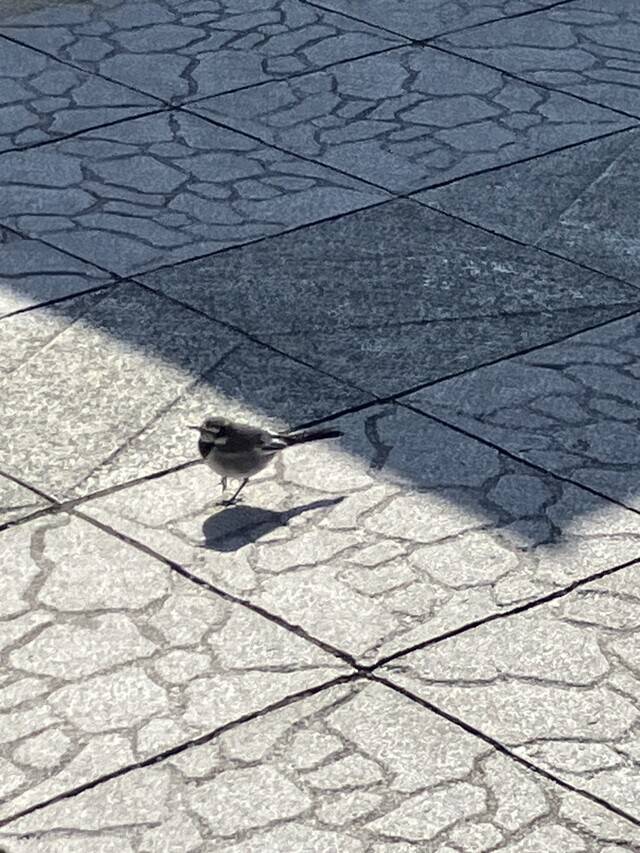 今日お問合せくださった◯◯さん❣️💌