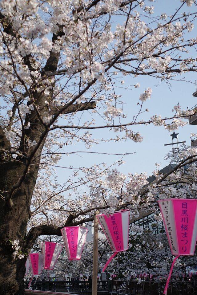 春🍀🌸