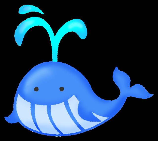 次回の出勤日について🐳❤️