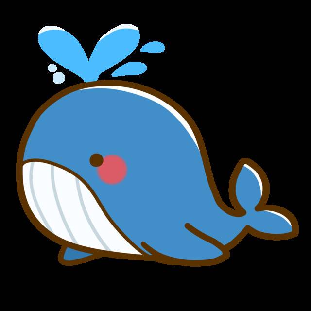 ラスト枠🐳❤️