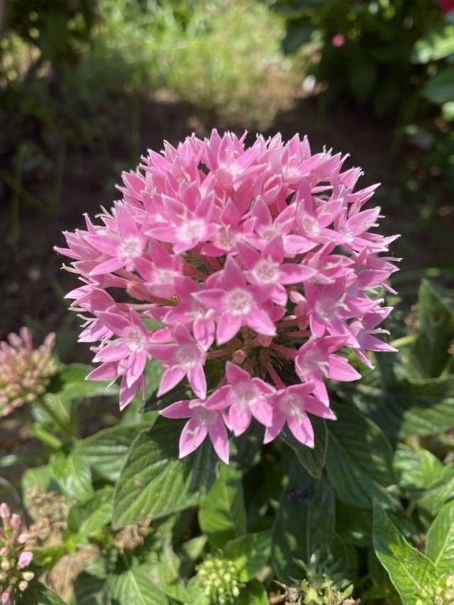 おはようございます♡