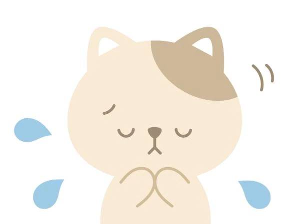 ごめんなさい😣💦