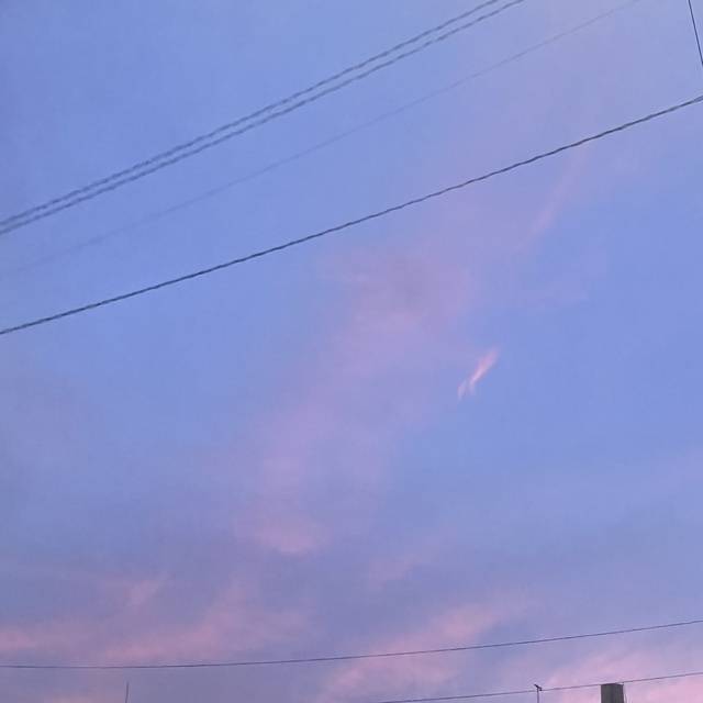 出勤しましたっ🌟