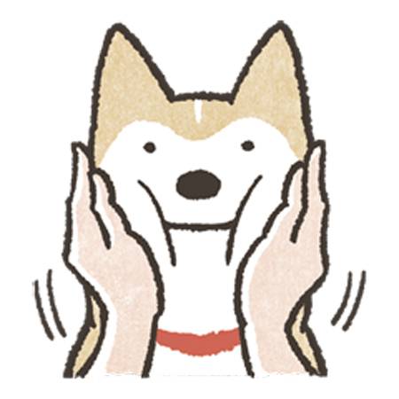わんわん