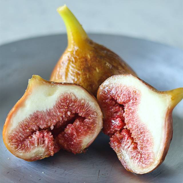 イチジク