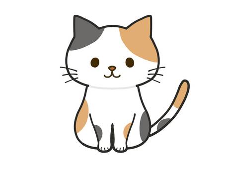 ねこちゃん
