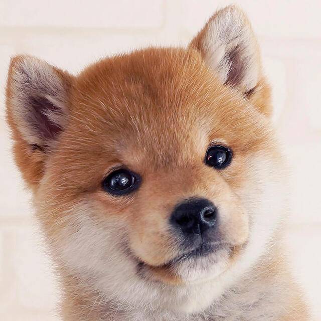 これってAIかな