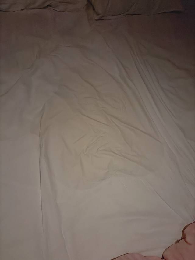 お分かりいただけただろうか…