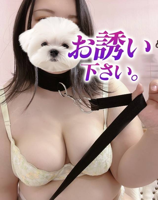 本日のオススメ🤭💖