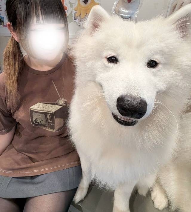 急遽‼️