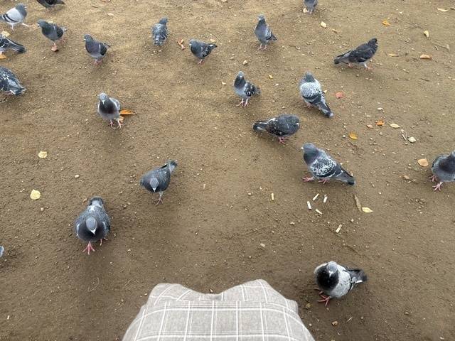 懐かしい