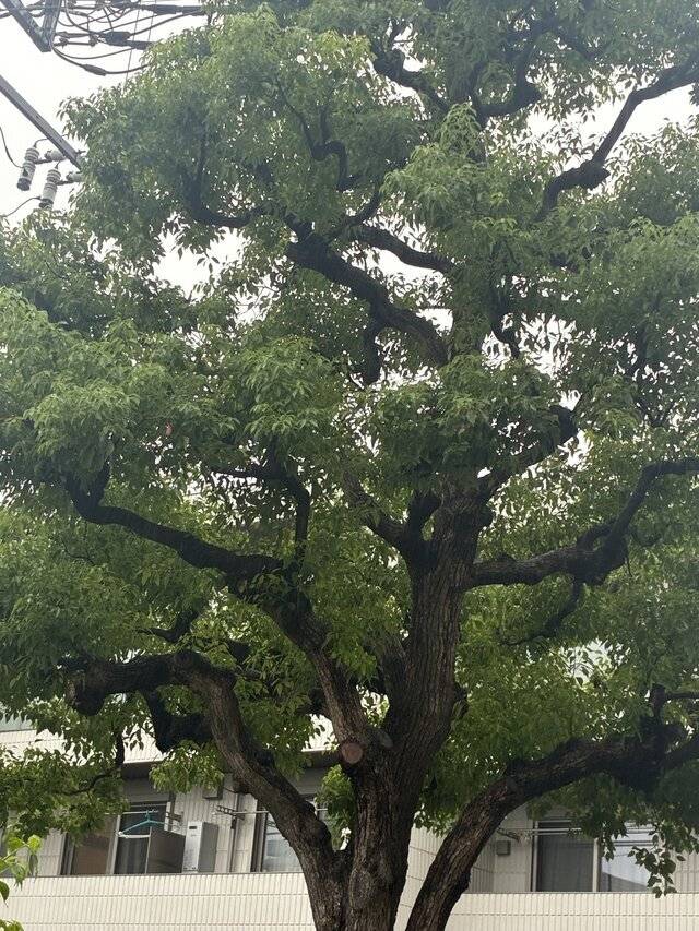 えぐい😵