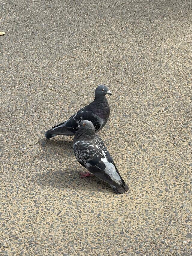 らぶらぶ