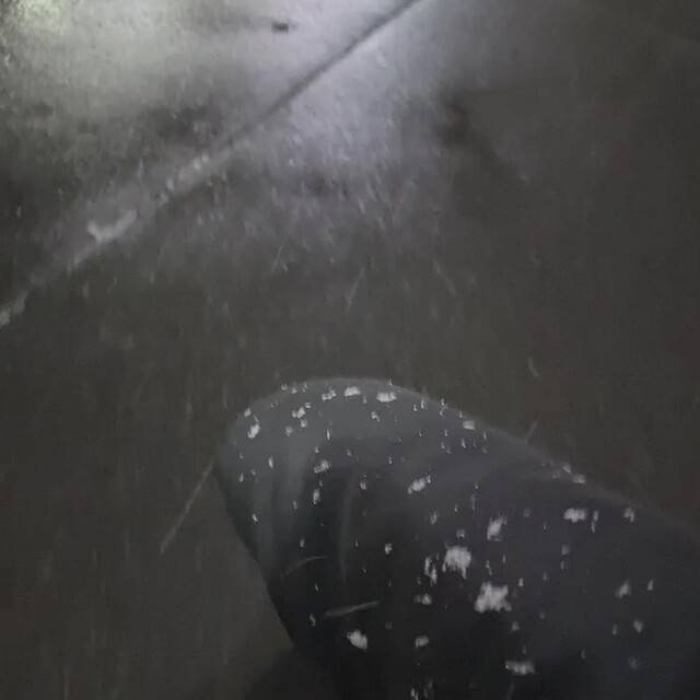 雪が綺麗と笑うのは君がいい〜🎶