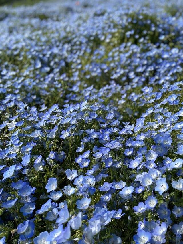 今日も1日お疲れ様ッ！