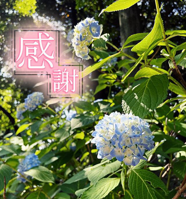 筋肉痛が...笑