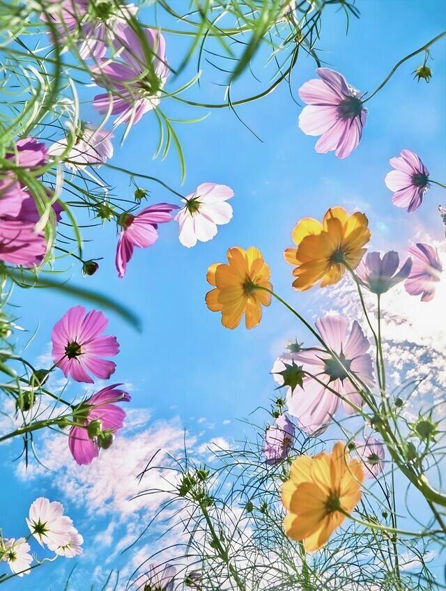今月の予定✨
