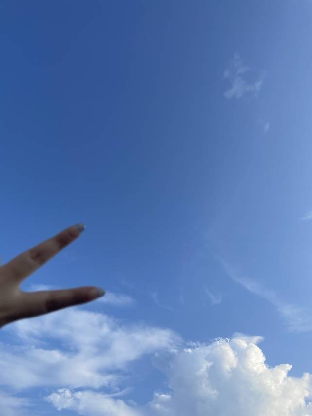初ネコカフェ
