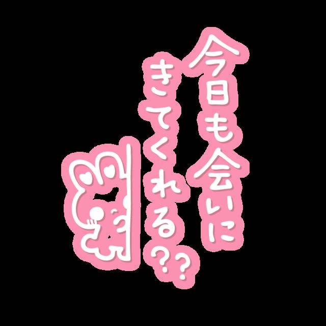 おはようございます🌻