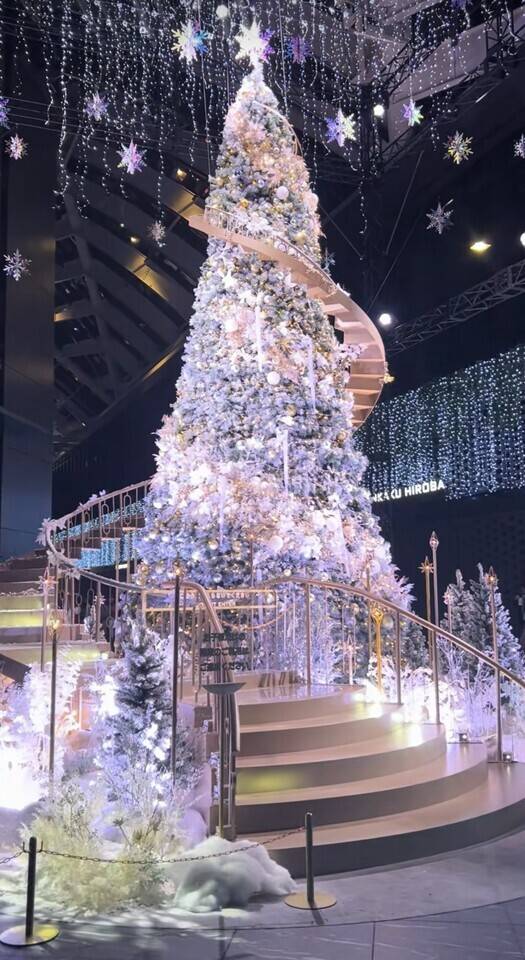 本日、24:00まで！！！！！