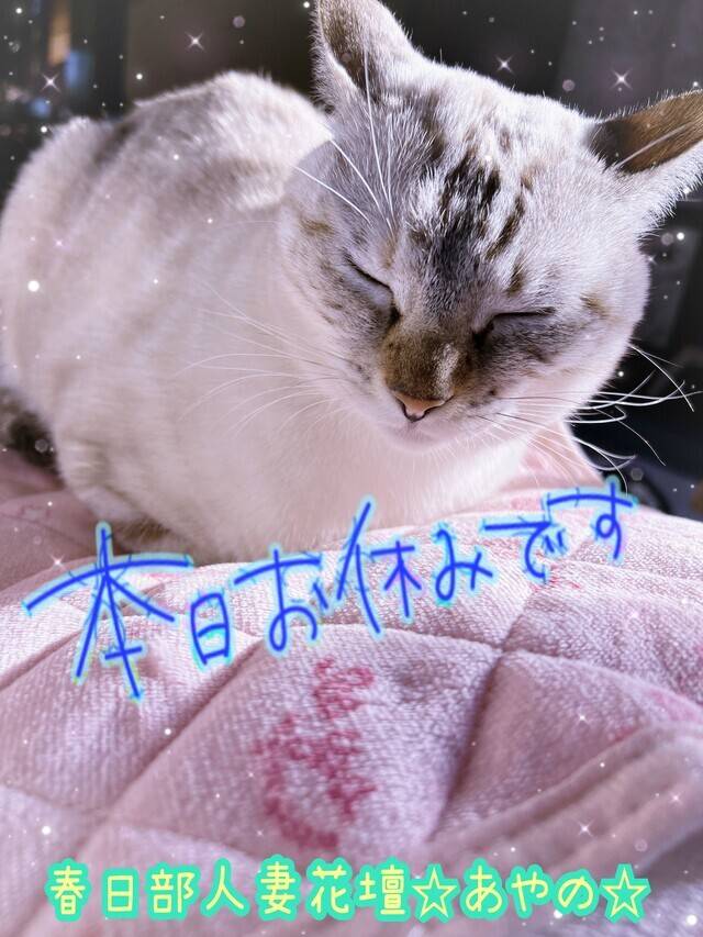 お休みでした★あやの★